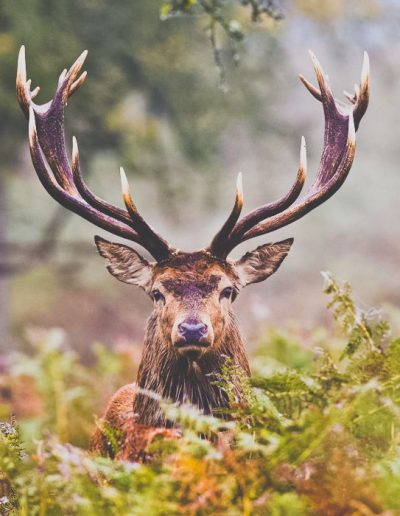 ab4c87ea24d32672d76891005020cf28